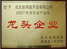 龍頭企業
