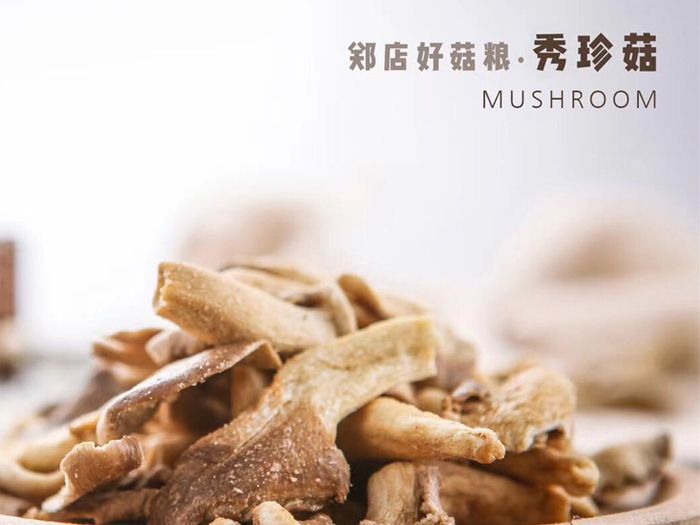 秀珍菇