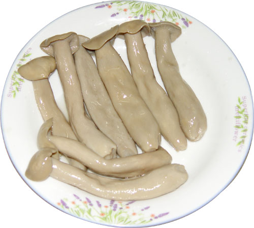 金福菇